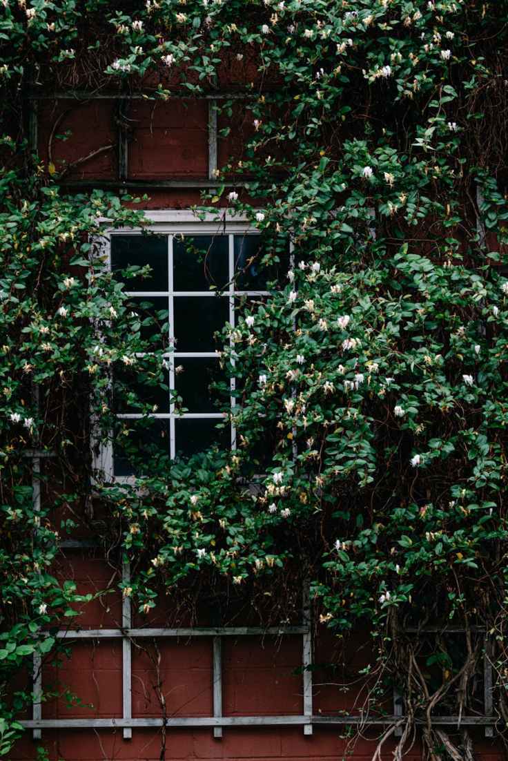 The Morgue and Its Unfathomable&nbsp;Rash